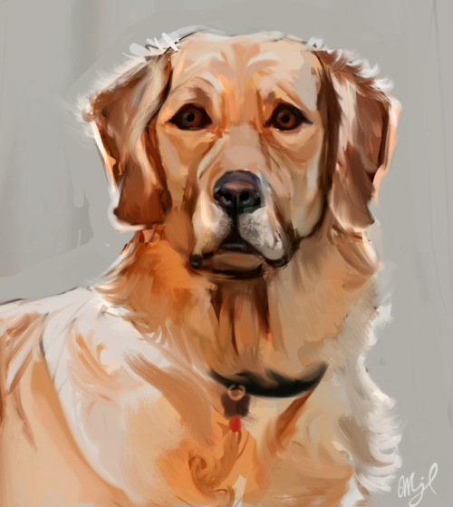  Here’s a painting of my dog, Bolin. If you want a portrait like this if your pets, message me for p