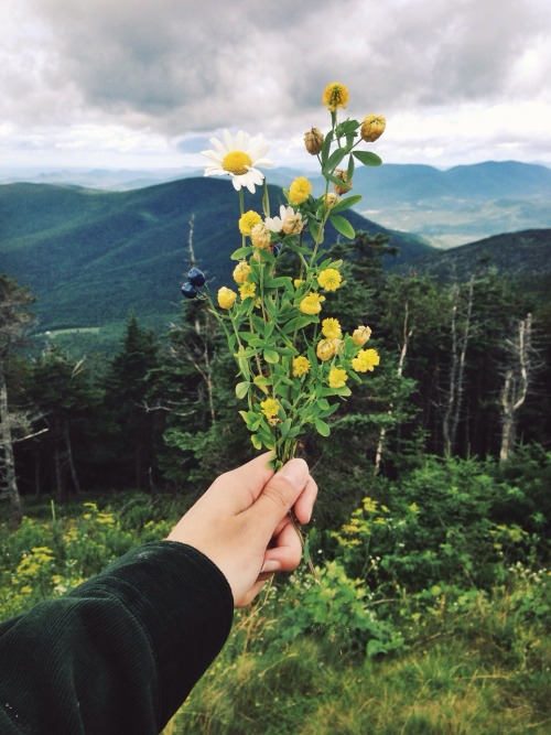 lonerstonerr: spiritbreather: today at mount equinox summit, vermont this is my sacred place.