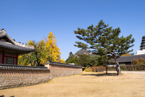 theurbanhistorian:Gyeongbokgung Palace and groundsSeoul, South KoreaAs soon as the 600 year old Jose