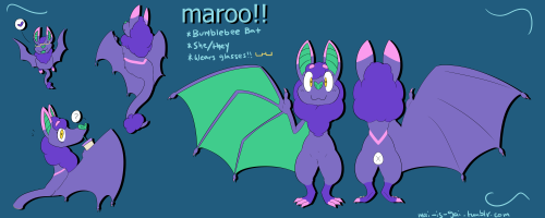 oops i guess i’m an uwu nowthis is Maroo aka Batto c:very fluffy (curly). very smol. massive nerd.