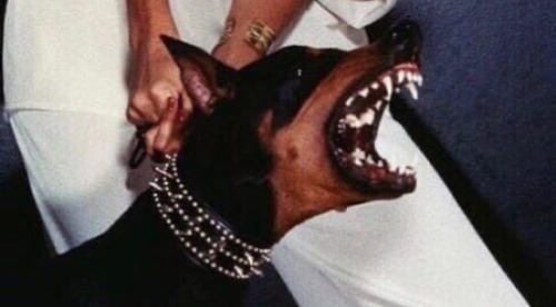 [a grainy color photo of a snarling doberman wearing a studded collar, with someone dressed all in white gripping the leash with both hands]  (Christie Brinkley, photographed by Chris Von Wangenheim for Vogue february 1997)