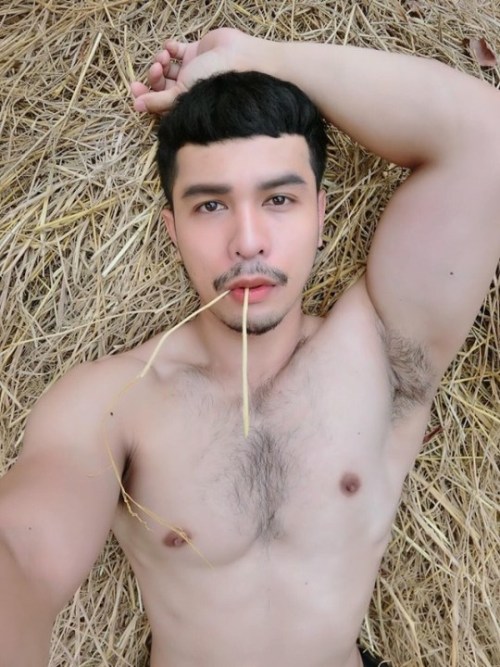 Hairy-Asian-Men: Https://Hairy-Asian-Men.tumblr.com - Hot Hairy Asian Menhttps://Gaydreaming.tumblr.com