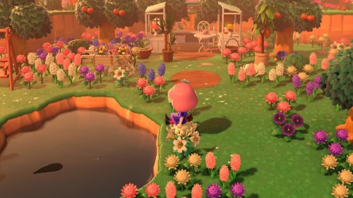 Have made a dream of Meowsland if anyone is interested in visiting.It’s a rustic little island