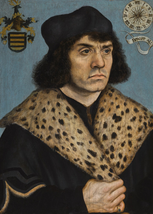 1500s-1510s Lucas Cranach the Elder - Portrait of a man with a spotted fur collar (Private collectio