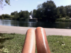 Masturlating:  Ogfoodnun:  Bellrich:  Ok Now This Is Definitely Hot Dogs  Wow Ok