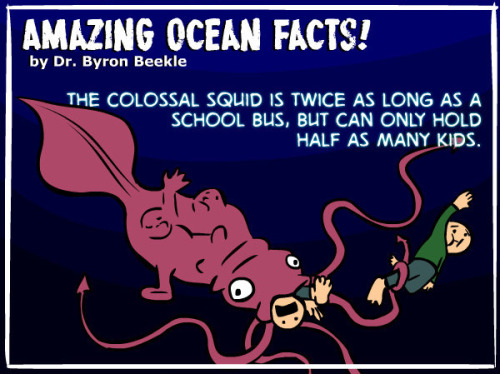 tastefullyoffensive:  Amazing Ocean Facts by Dr. Byron Beekle [natgeo]Previously: Animated Animals Facts 