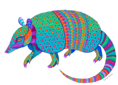 Armadillo alebrije, made entirely with colored pencils on 11x14″ paper.Drawn for an alebrije  charac