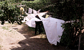 damienchazelle:It’s Halloween; everyone’s entitled to one good scare.