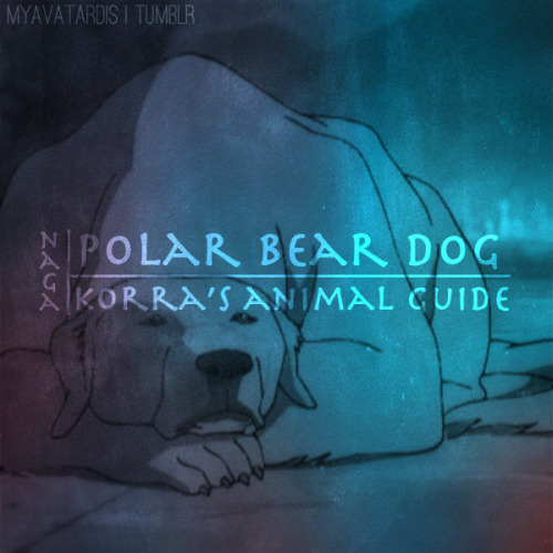 myavatardis:  The Avatar’s Animal Guides 