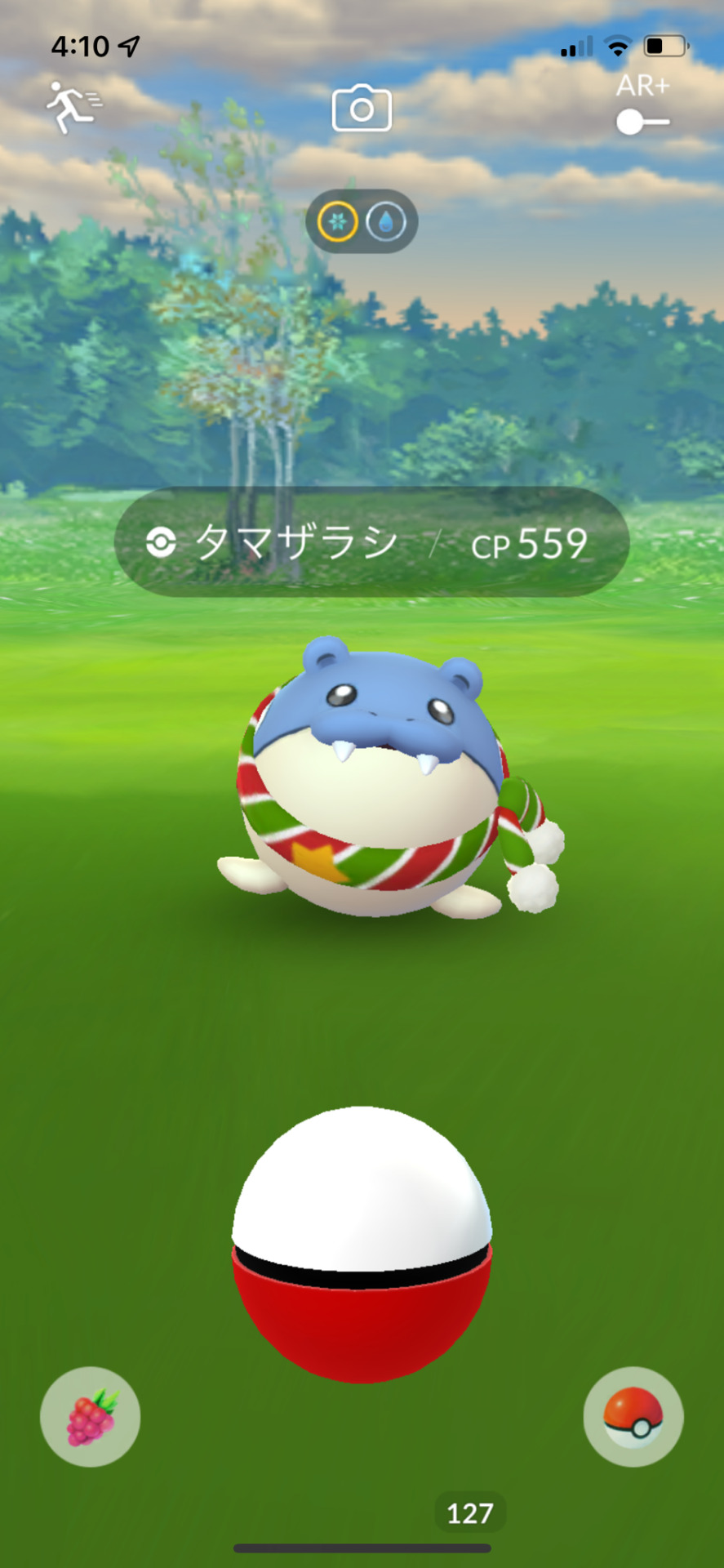タマザラシ Explore Tumblr Posts And Blogs Tumgir