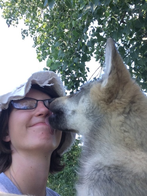 mooseings:Happiness is Sparrow’s very thorough face greetings ❤️ It’s my final day as an intern at W