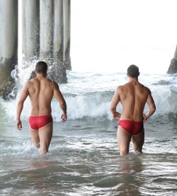 Bikini Speedo Thongs