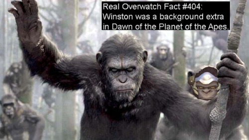 real-overwatch-facts - Real Overwatch Fact #404 - Winston was a...