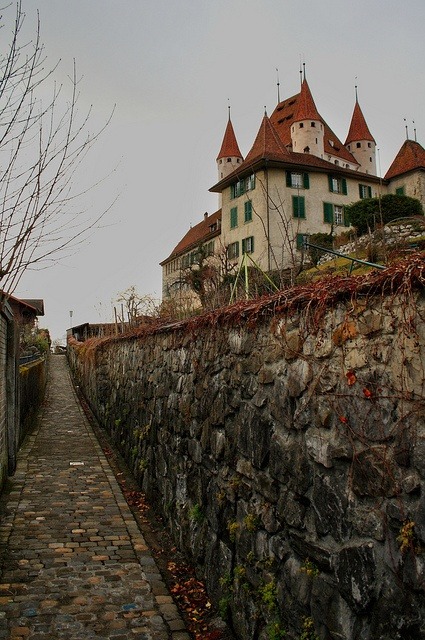 soulstratum:    Château de Thun, Switzerland  
