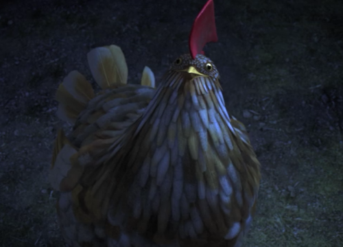 dyannehs:jackthevulture:Startlingly impressive animation on this chicken.This chicken stole my heart