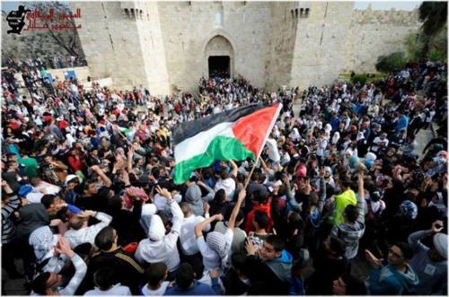 thepalestineyoudontknow: About than 7,000 Palestinians gathered in the longest reading human chain a