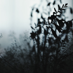 an-haze: mourning by deadendsoul  