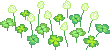 clovrs