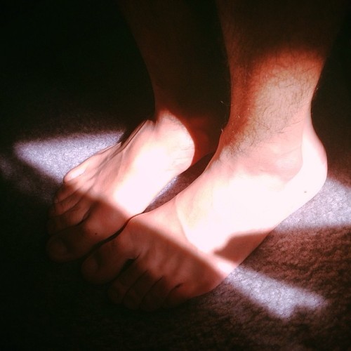 Sun light.