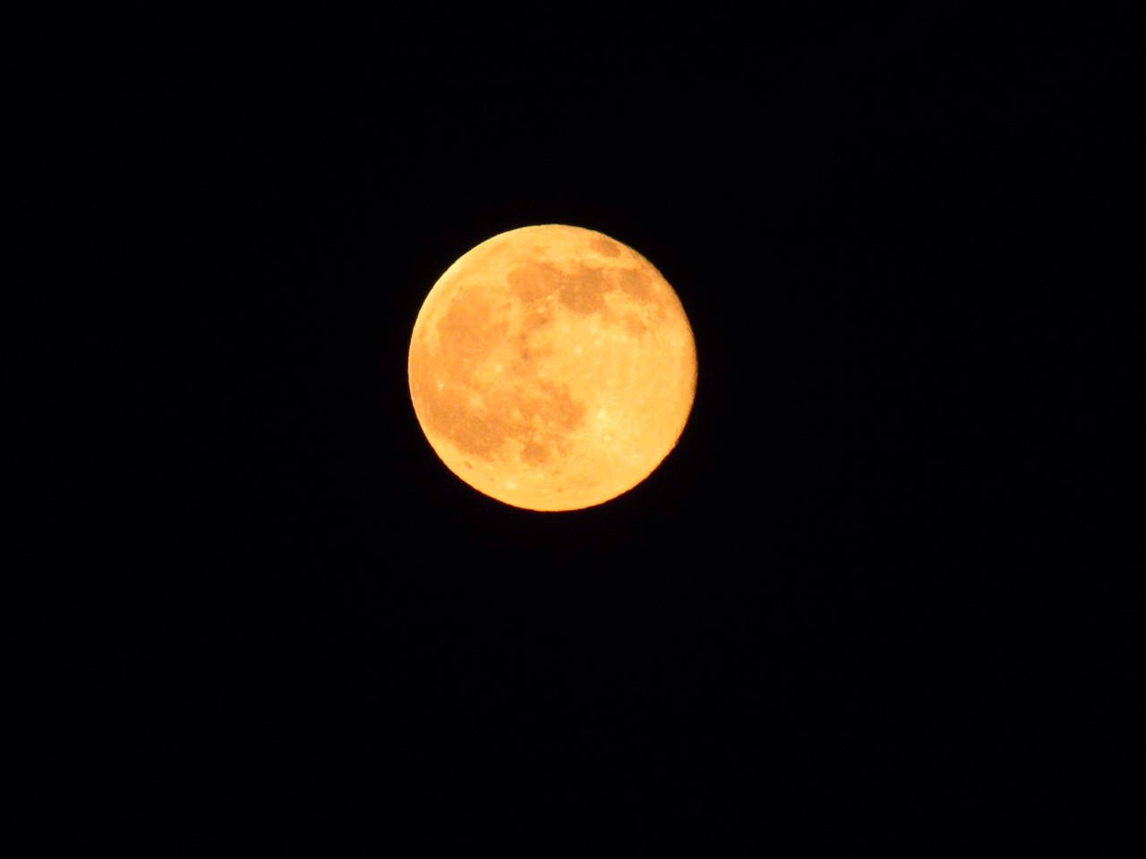 fl0wer-wh0re:  The moon was great tonight 