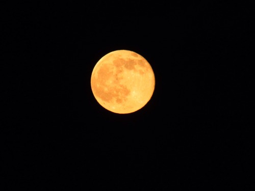 fl0wer-wh0re:  The moon was great tonight 