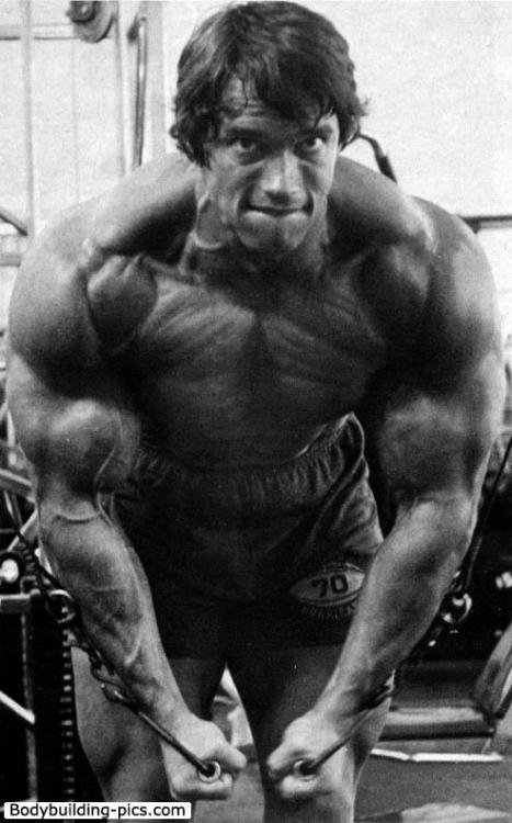 nathansidneyrobinson:  Arnold Schwarzenegger rare photos