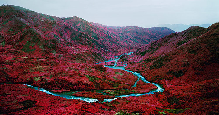 kateoplis:  Richard Mosse, Love is the Drug 