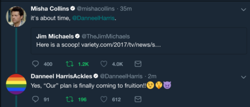 SO IN 2012, DANNEEL ACKLES PROBABLY SAID THAT SHE’D APPEAR ON SUPERNATURAL SEASON 13 AS A JOKE OR MA