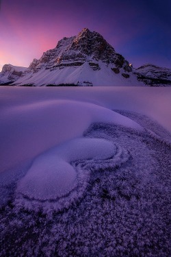 ponderation: Frost by Piriya Pete Wongkongkathep