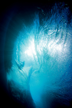 Highenoughtoseethesea: Blue Womb: Jesse Merle Jones Photo: Zak Noyle