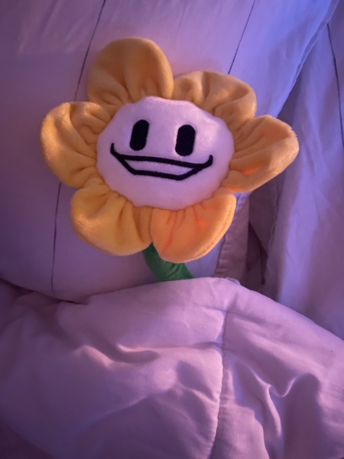 Goodnight...