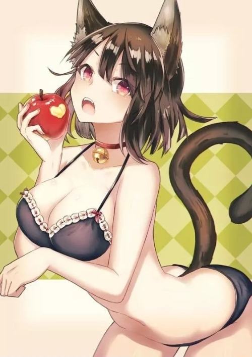 Sexy catgirls and stuff