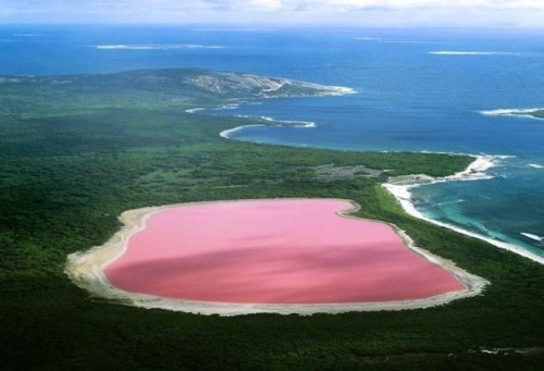 wtxch:The Pink Lake Hillier of Australia by Jean-Paul Ferrero