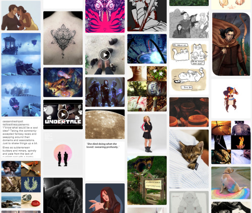 Was tagged to post a screenshot of part of my archive by @arkilliandragon :DVideo games, cats, and r