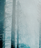ariannsmartell:  Game of Thrones + beyond the wall scenery (requested by viserian) 
