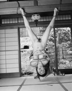 thevertigonetwork:  Nobuyoshi Araki