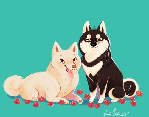 jessiedrawz:Pet commission in memory of these lovely Shibes for @doodlesofdanielle Cream color is Ca