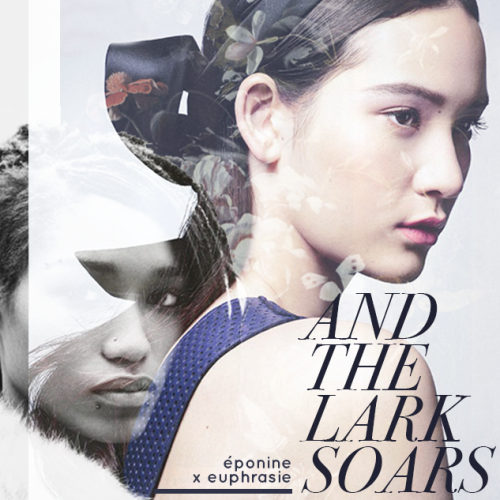 and the lark soarsa fanmix for another universe:éponine, cosette, and the love that could hav