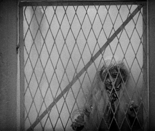 luciofulci: Vampyr (1932)  dir. Carl Theodor Dreyer (x) 