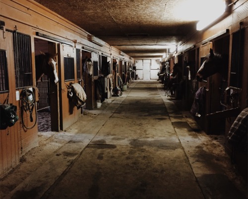 horsep0rn: cassidyrayfield: Goodnight horsies ‍ i adore barn pictures