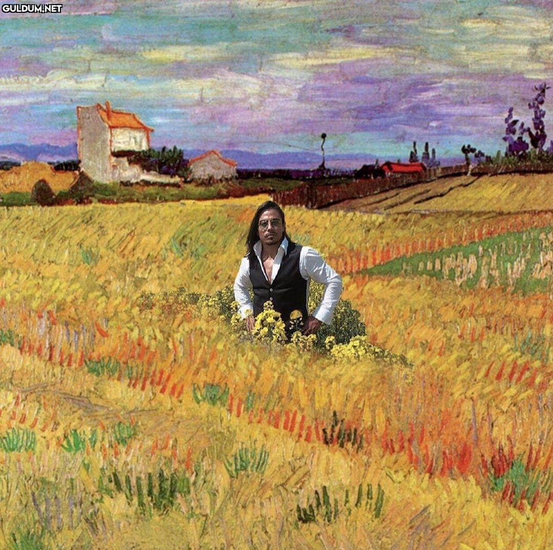 Vincent van Gogh - Wheat...