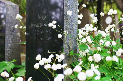 Cimetery in Iceland, 2015