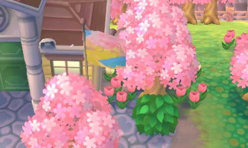 toopixelforu: I started a new save in animal crossing new leaf,  the sakura trees make everything lo