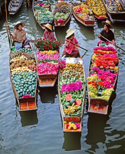 littlesunnyday:  marigold-e-n:  is this the floating market? HOME!  i would never be able to sell fruits or so… they would be no one left for customers… 