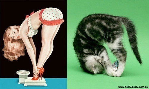 Petgirls Photo Journal
