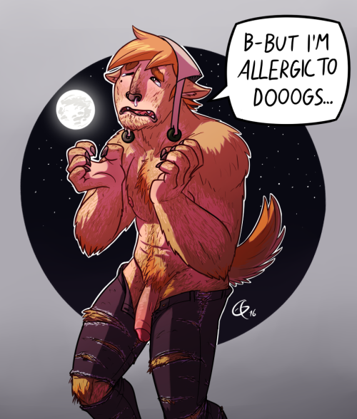 bavarii:  AWOOOOOOOOOOOOOOO *achoo*A small and very silly Halloween drawing of Aiva as Shiba coloured werewoof with some unforseen problems.These sort of ideas have been amusing me all day already, like what would happen if a werewolf ate some chocolate