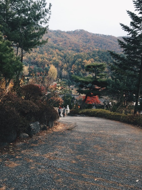 Gyeonggi-do, South Korea // fluoric