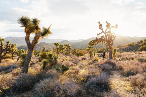 Spent some time in California this past week. That place never stops being incredible. by Tyler Phen