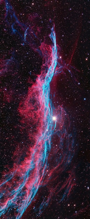 the-wolf-and-moon: NGC 6960, Witch’s Broom