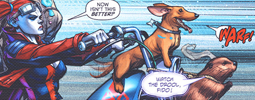 grimphantom:  thatfuhkinhippie:   Harley Quinn #1  Good  Grimphantom: If i liked Harley Quinn, now even more! Especially having dachshunds my myself. You’re the best Harley!  <3